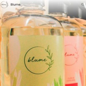 inicio-blume